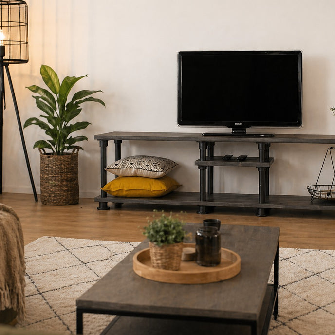 industrieel tv meubel stijlvol in een moderne woonkamer met lamp en leuke planten.