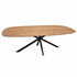 Salontafel ovaal Facet met naturel houten blad en zwart stalen spinpoot.